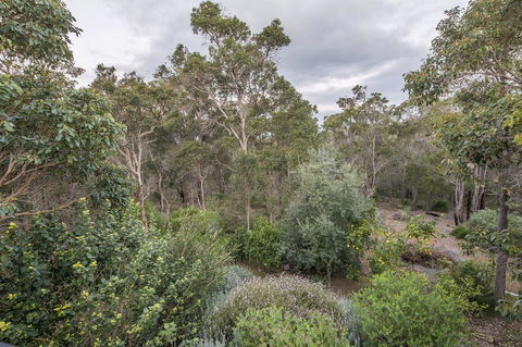 A Hidden Bush Delight - Palm Beach Accommodation 7