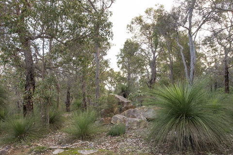 A Hidden Bush Delight - Palm Beach Accommodation 23