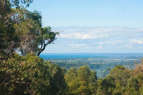 A Hidden Bush Delight - Palm Beach Accommodation 31