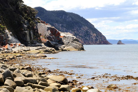 Aplite House - Palm Beach Accommodation 26