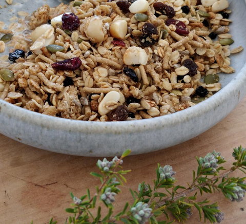 Aplite House - Palm Beach Accommodation 24