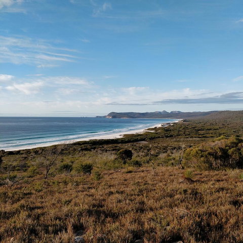 Aplite House - Palm Beach Accommodation 23