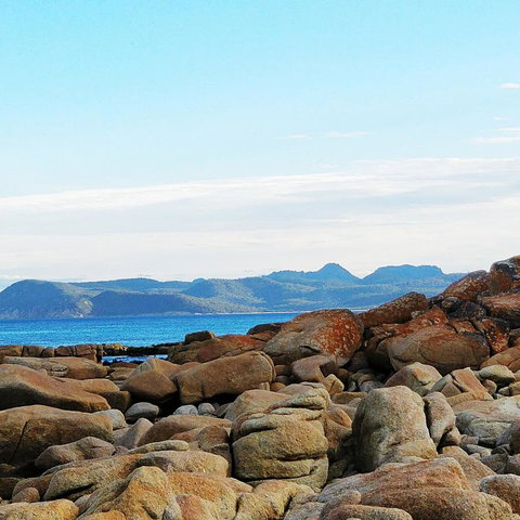 Aplite House - Palm Beach Accommodation 31