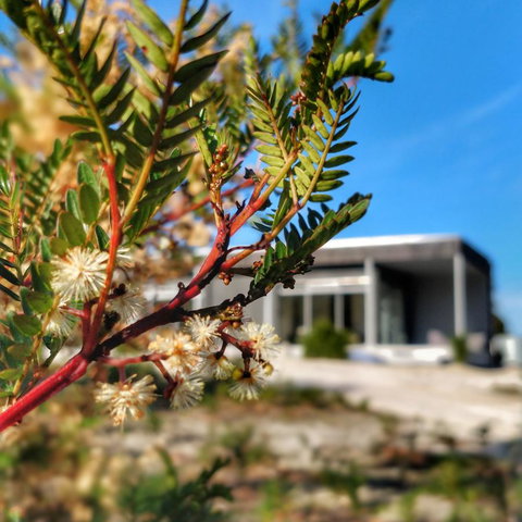 Aplite House - Palm Beach Accommodation 36