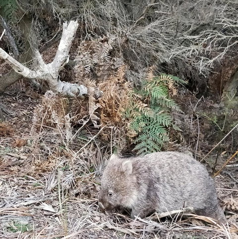 Aplite House - Palm Beach Accommodation 35