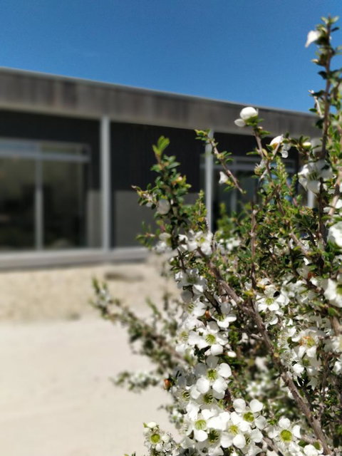 Aplite House - Palm Beach Accommodation 7