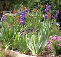 Karoola Cottage Self Contained - Palm Beach Accommodation