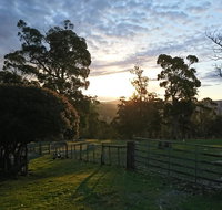 Glengarry farm stay BnB - Palm Beach Accommodation