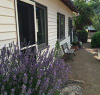 Walnut Cottage - Palm Beach Accommodation