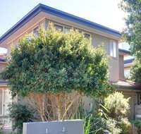 One Street Back from the Surf Beach - Palm Beach Accommodation