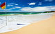 Palmy Sea Breeze - thumb 1