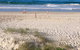 Palmy Sea Breeze - thumb 0