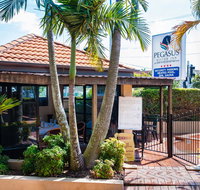 Pegasus Motor Inn and Serviced Apartments - Palm Beach Accommodation