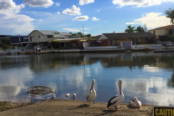 Pelican Cove Apartments with Palm Beach Accommodation