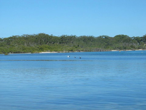 Pet Friendly - Exceptional Beachside Location - Palm Beach Accommodation 3