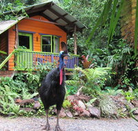 Rainforest Hideaway - Palm Beach Accommodation