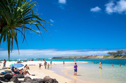 Sea Mist Palms - Palm Beach Accommodation 0