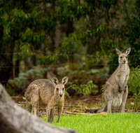 Secura Lifestyle Countryside Kalaru - Palm Beach Accommodation