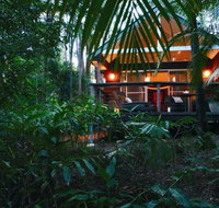 Songbirds Rainforest Retreat - Palm Beach Accommodation