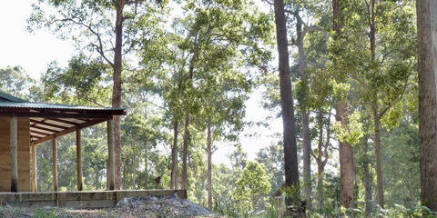 Southern Forest Escape Pemberton - Palm Beach Accommodation 1