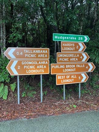 Springbrook Mountain Chalets - Palm Beach Accommodation 3