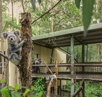 Springwood Meditation Centre - Palm Beach Accommodation