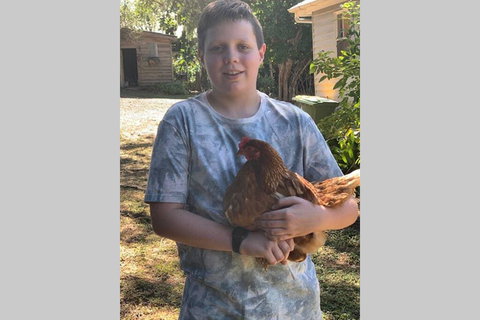 Stunning Queenslander - Palm Beach Accommodation 2