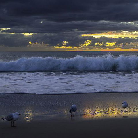Surfers Horizons - Palm Beach Accommodation 3
