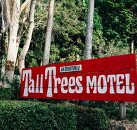Tall Trees Motel Mountain Retreat - Palm Beach Accommodation