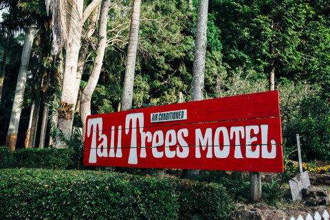 Tall Trees Motel Mountain Retreat - Palm Beach Accommodation 0