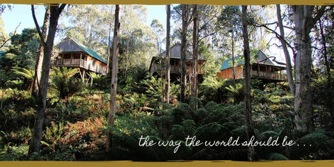 Lemonthyme Wilderness Retreat - Palm Beach Accommodation 20