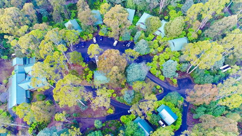 Lemonthyme Wilderness Retreat - Palm Beach Accommodation 1