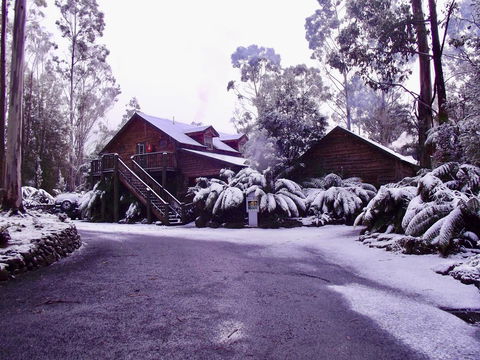 Lemonthyme Wilderness Retreat - Palm Beach Accommodation 12