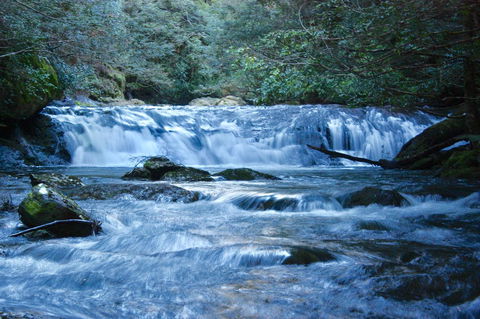 Lemonthyme Wilderness Retreat - Palm Beach Accommodation 10
