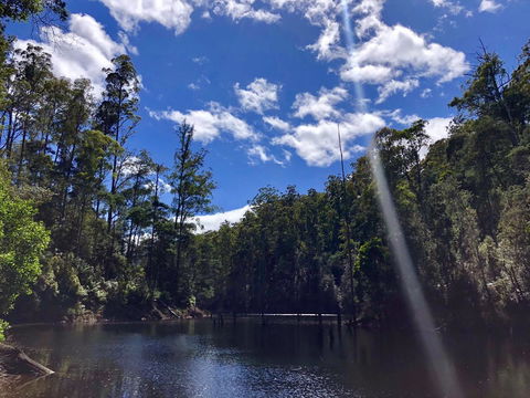 Lemonthyme Wilderness Retreat - Palm Beach Accommodation 7