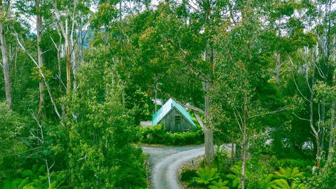 Lemonthyme Wilderness Retreat - Palm Beach Accommodation 2