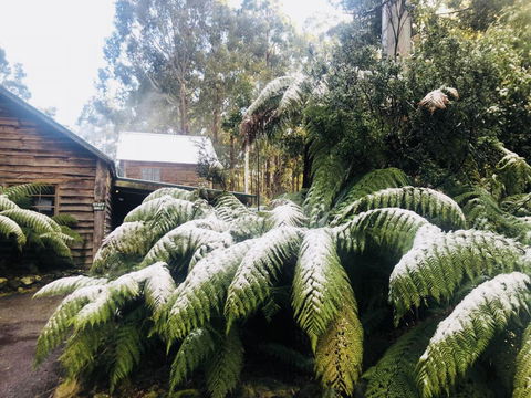Lemonthyme Wilderness Retreat - Palm Beach Accommodation 5