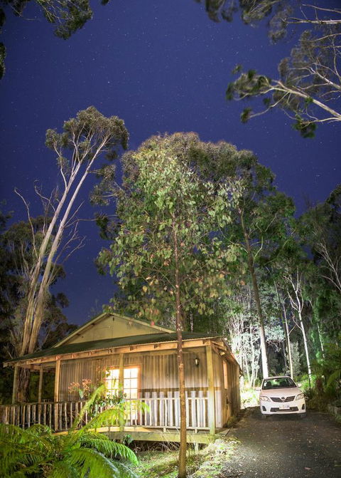 Lemonthyme Wilderness Retreat - Palm Beach Accommodation 3