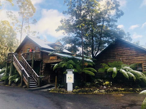 Lemonthyme Wilderness Retreat - Palm Beach Accommodation 4