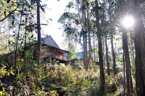 Lemonthyme Wilderness Retreat - Palm Beach Accommodation 25