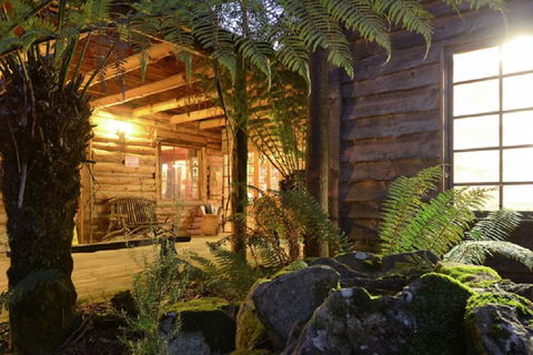 Lemonthyme Wilderness Retreat - Palm Beach Accommodation 27
