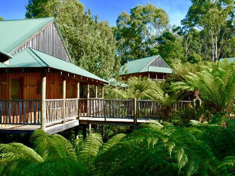 Lemonthyme Wilderness Retreat - Palm Beach Accommodation 11