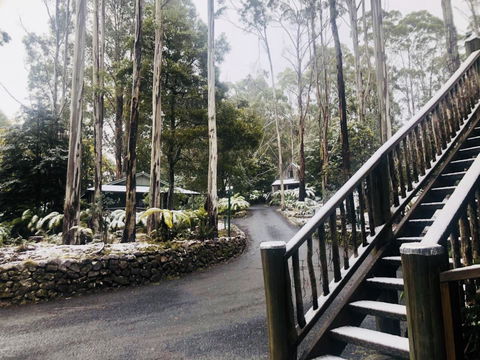 Lemonthyme Wilderness Retreat - Palm Beach Accommodation 15