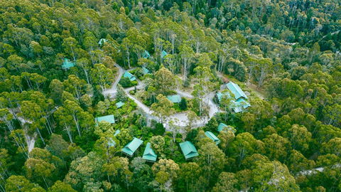 Lemonthyme Wilderness Retreat - Palm Beach Accommodation 0