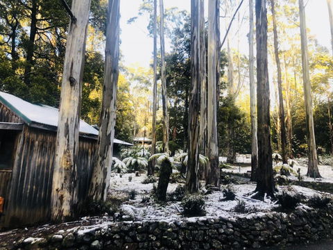 Lemonthyme Wilderness Retreat - Palm Beach Accommodation 6