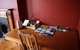 The Tasmanian Inn - thumb 19