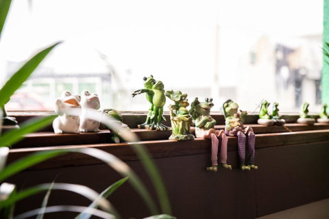The Pickled Frog - Palm Beach Accommodation 12