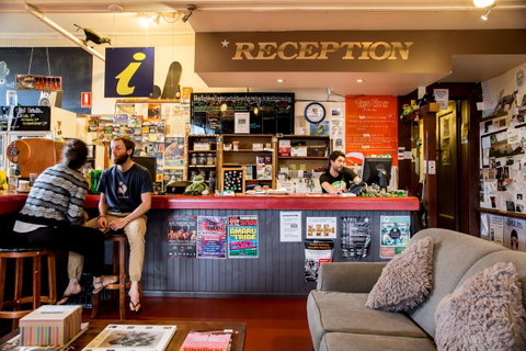 The Pickled Frog - Palm Beach Accommodation 0