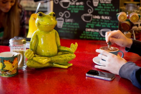The Pickled Frog - Palm Beach Accommodation 30