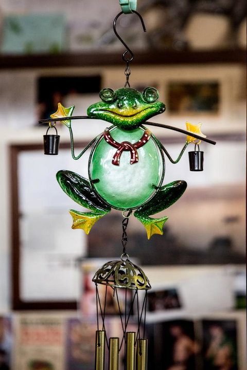 The Pickled Frog - Palm Beach Accommodation 35